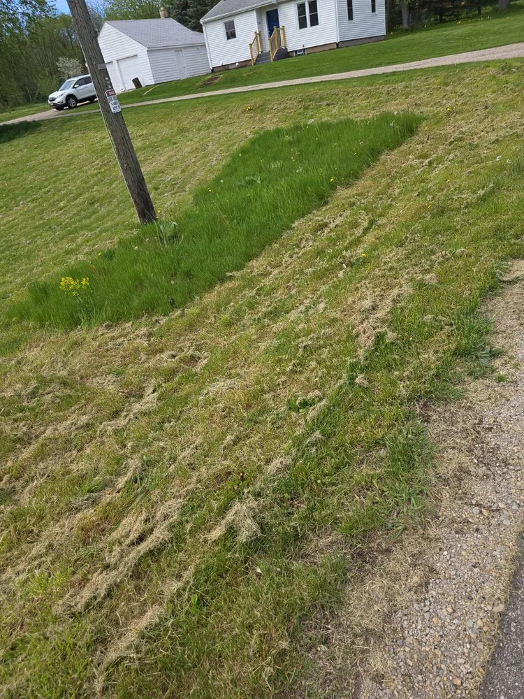 Expert lawn mowing service experts serving Beloit, WI - Sammy's Removal