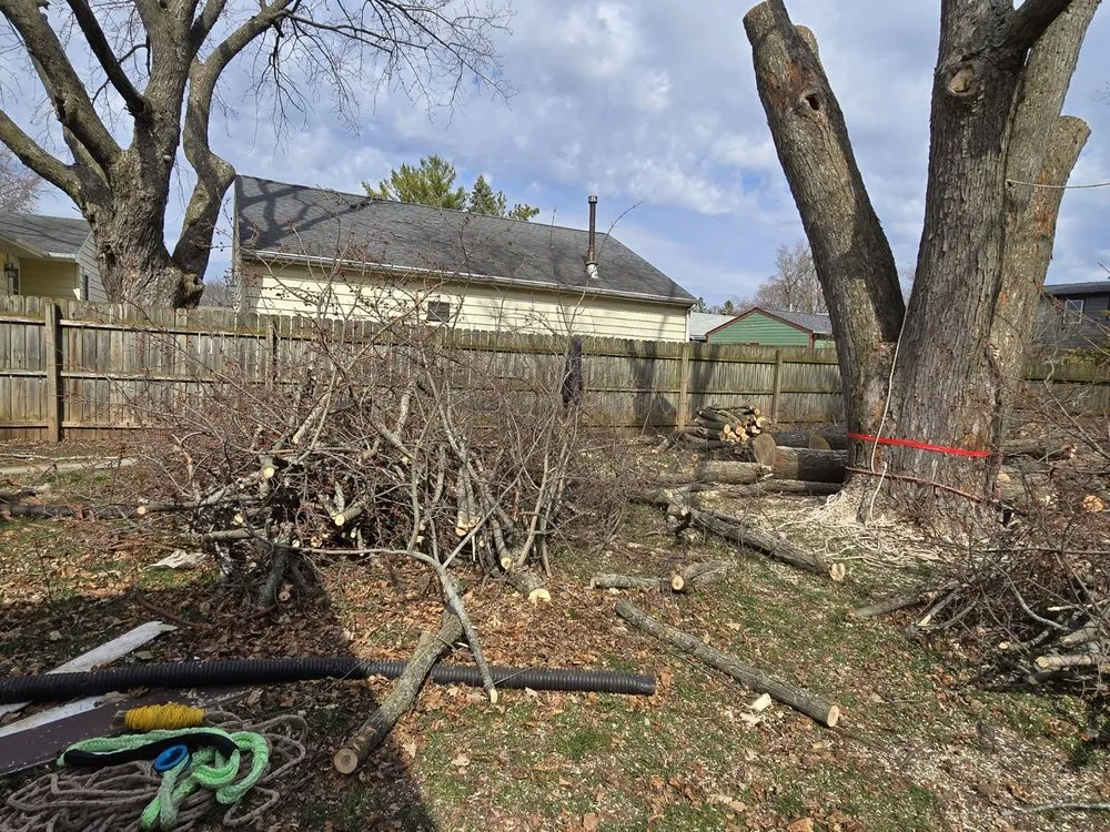 Custom landscape design for outdoor upgrades across Beloit, WI - Sammy's Removal