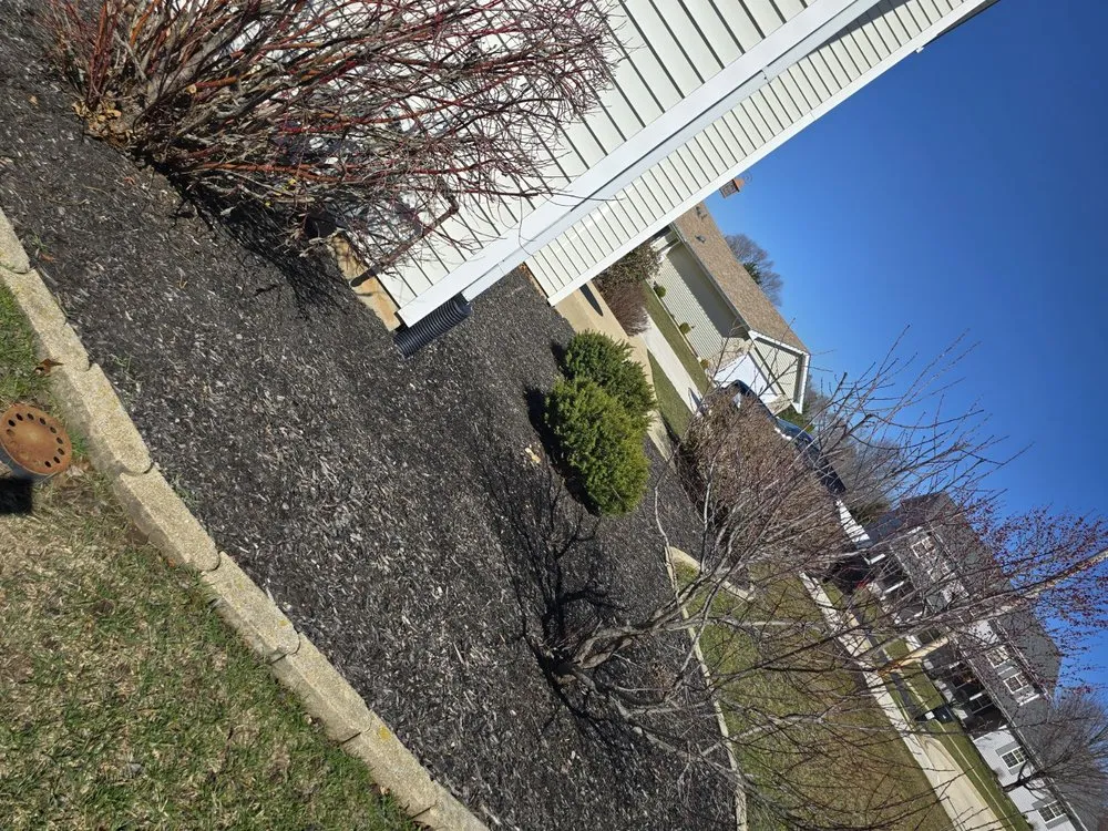 Affordable landscaping services experts serving Beloit, WI - Sammy's Removal
