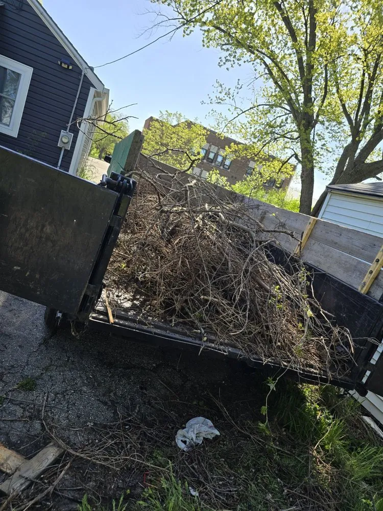 Affordable landscape installation in Beloit, WI by Sammy's Removal