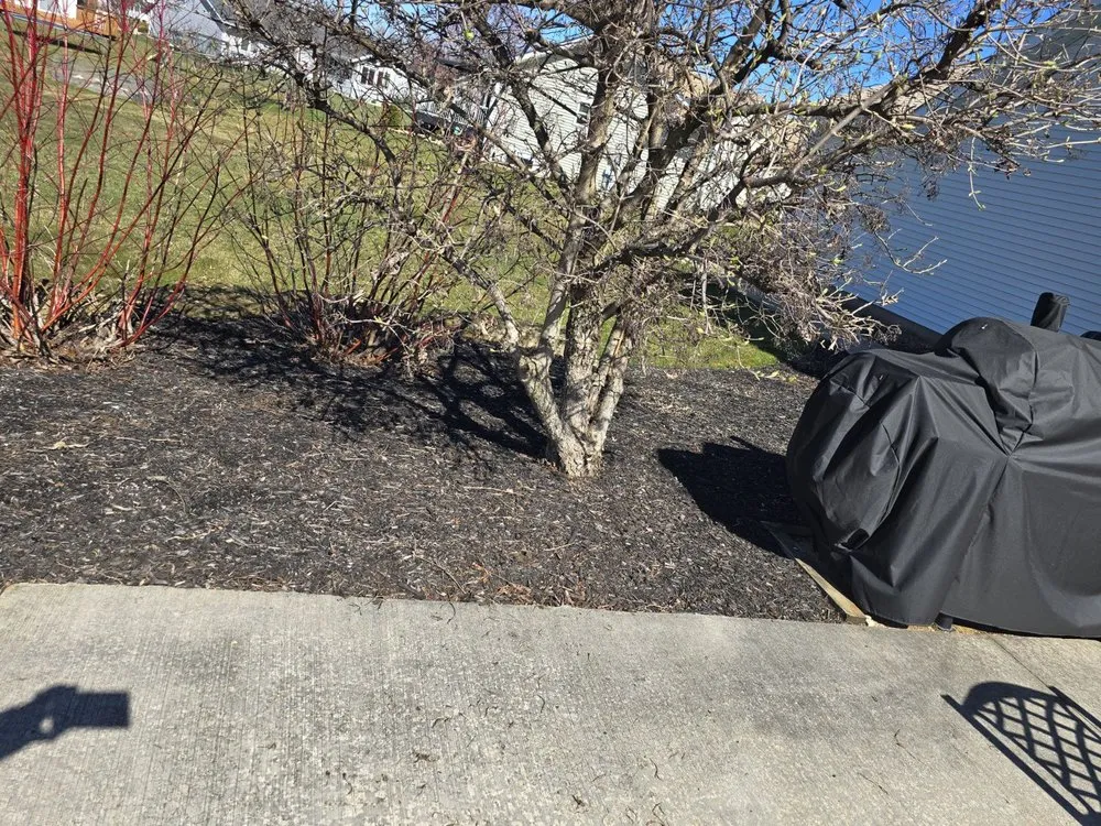 Expert garden landscaping in Beloit, WI - Sammy's Removal