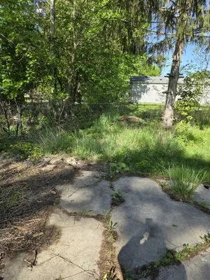 Sammy's Removal Logo