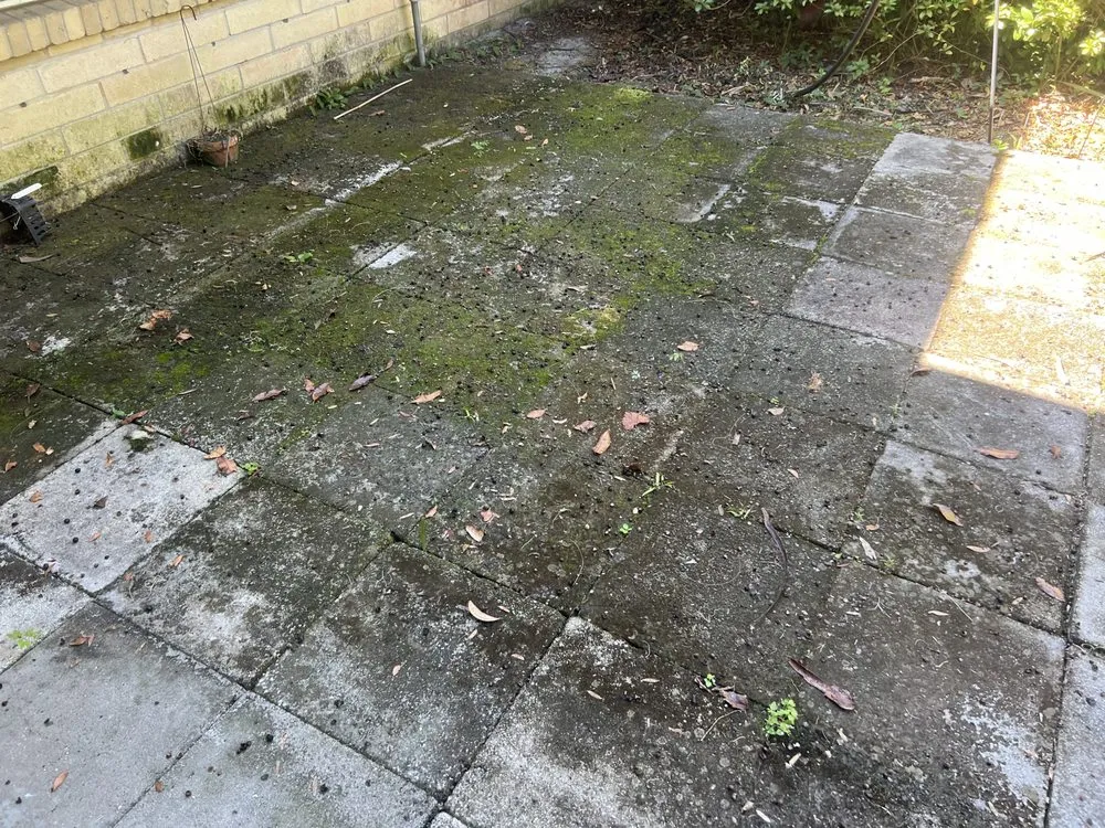 Expert landscape design for residential properties across Williston, FL - Samoa’s Seasonal Service’s