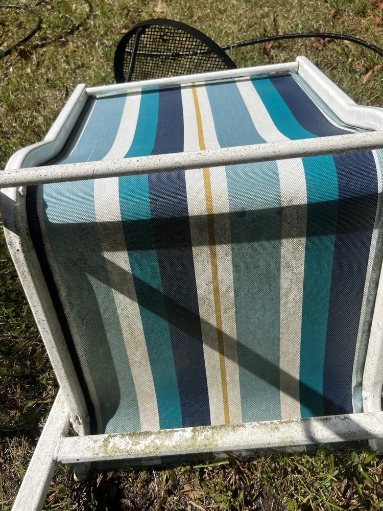 Affordable residential landscaping experts serving Williston, FL - Samoa’s Seasonal Service’s