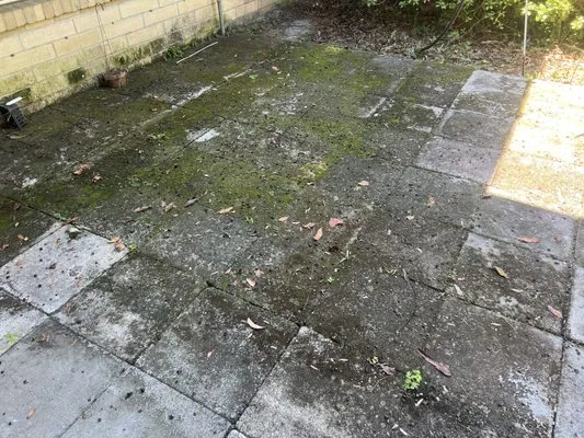 Samoa’s Seasonal Service’s Logo