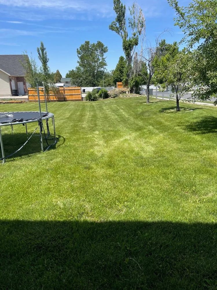 Custom lawn care service experts serving Taylorsville, UT - Samowers Lawn Care
