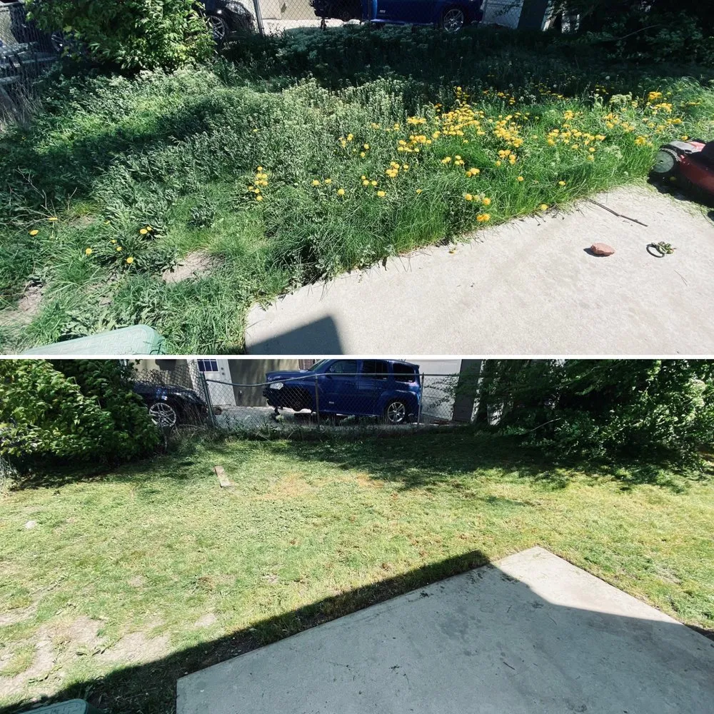 Reliable outdoor landscaping for outdoor upgrades in Taylorsville, UT by Samowers Lawn Care