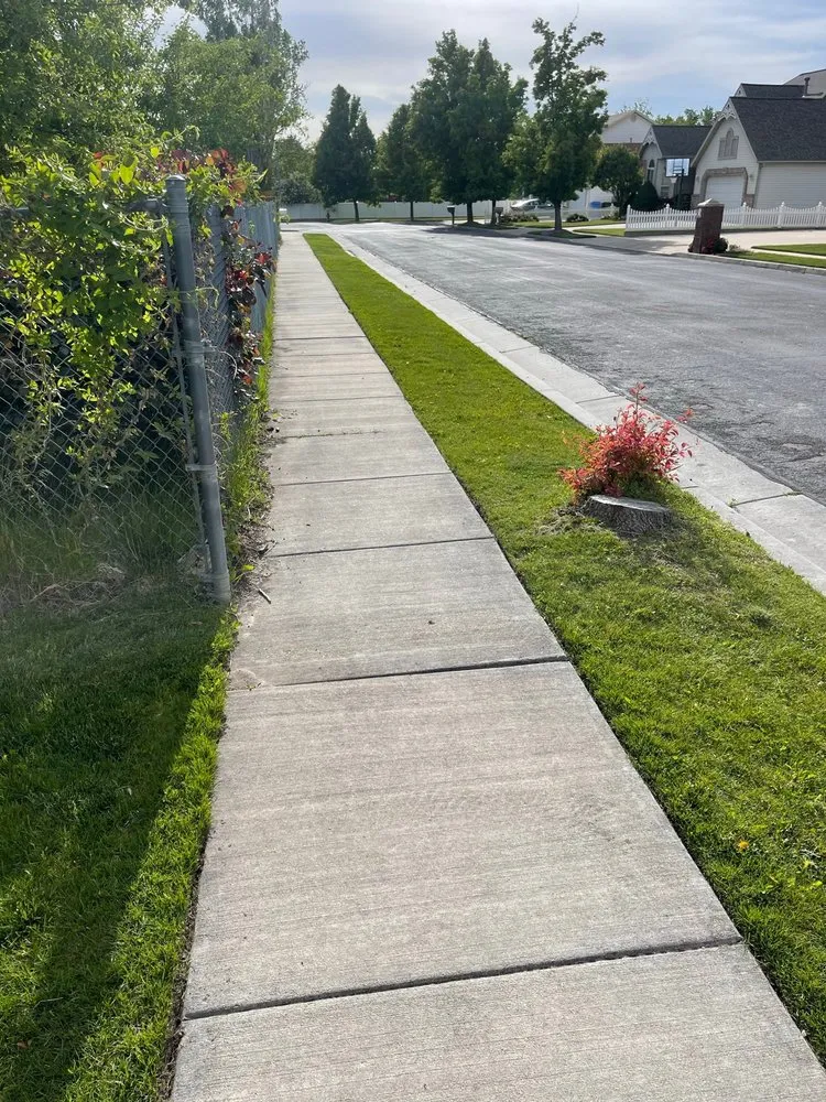 Reliable yard cleanup service in Taylorsville, UT - Samowers Lawn Care