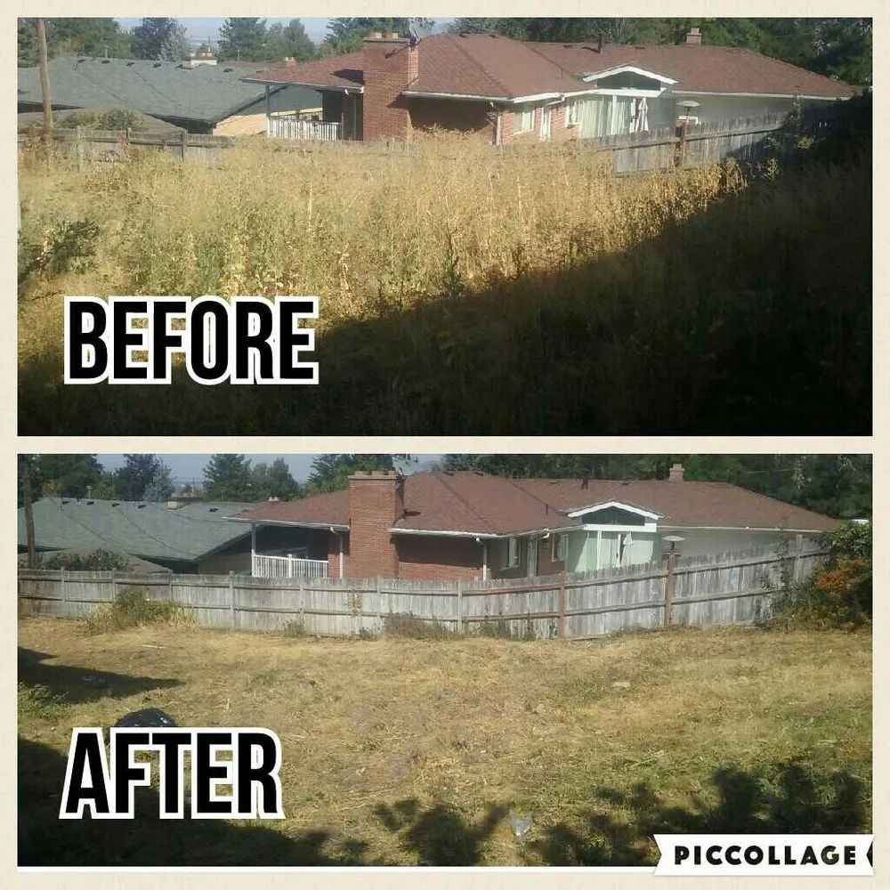 Affordable landscape design for year-round maintenance across Salt Lake City, UT - Sa'Mowin Lawn Care