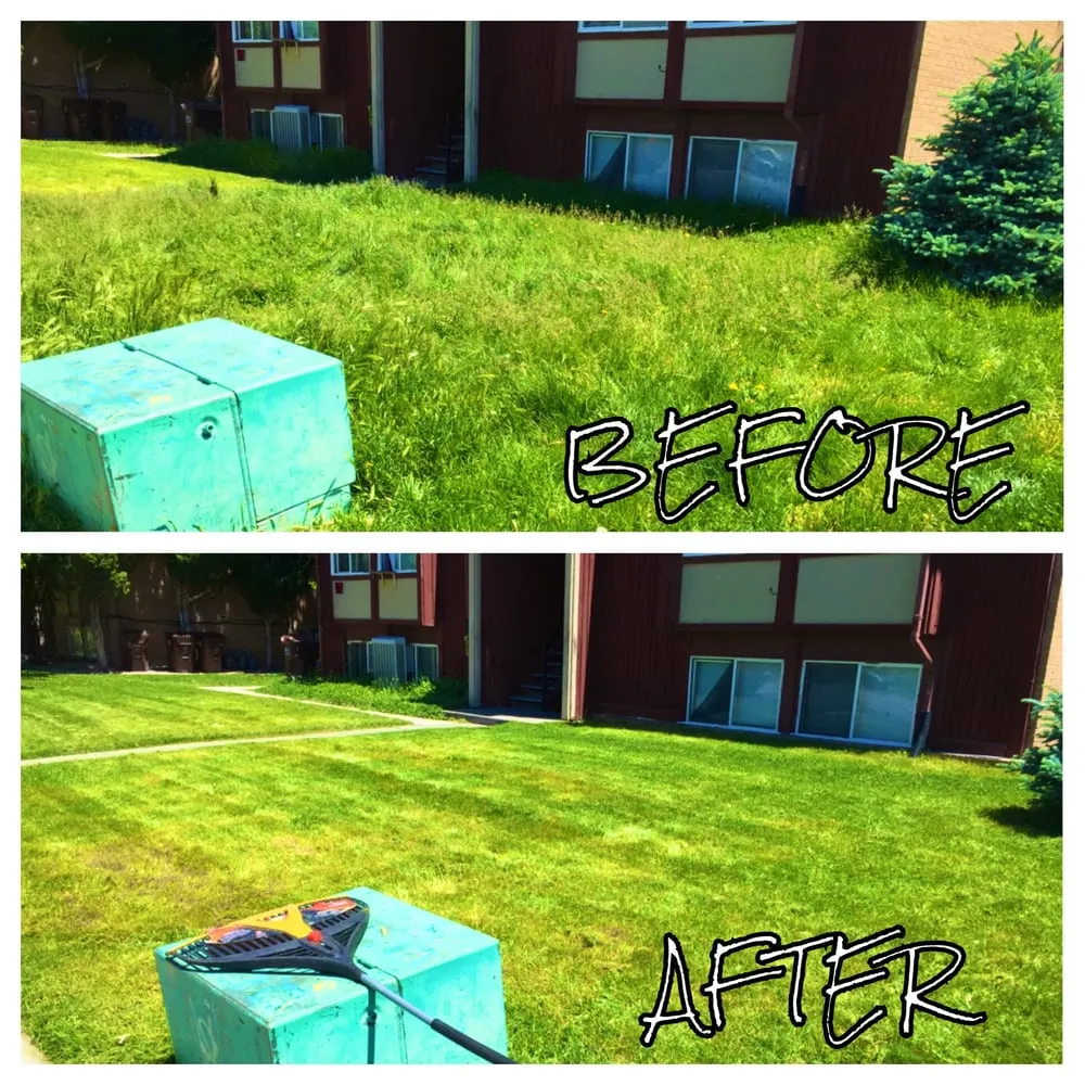 Professional yard cleanup service experts serving Salt Lake City, UT - Sa'Mowin Lawn Care