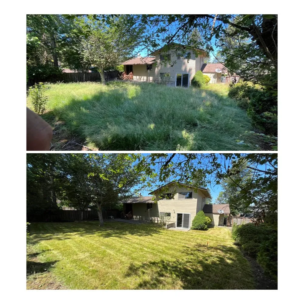 Local yard cleanup service experts serving Woodinville, WA - Samphire's Lawn Care