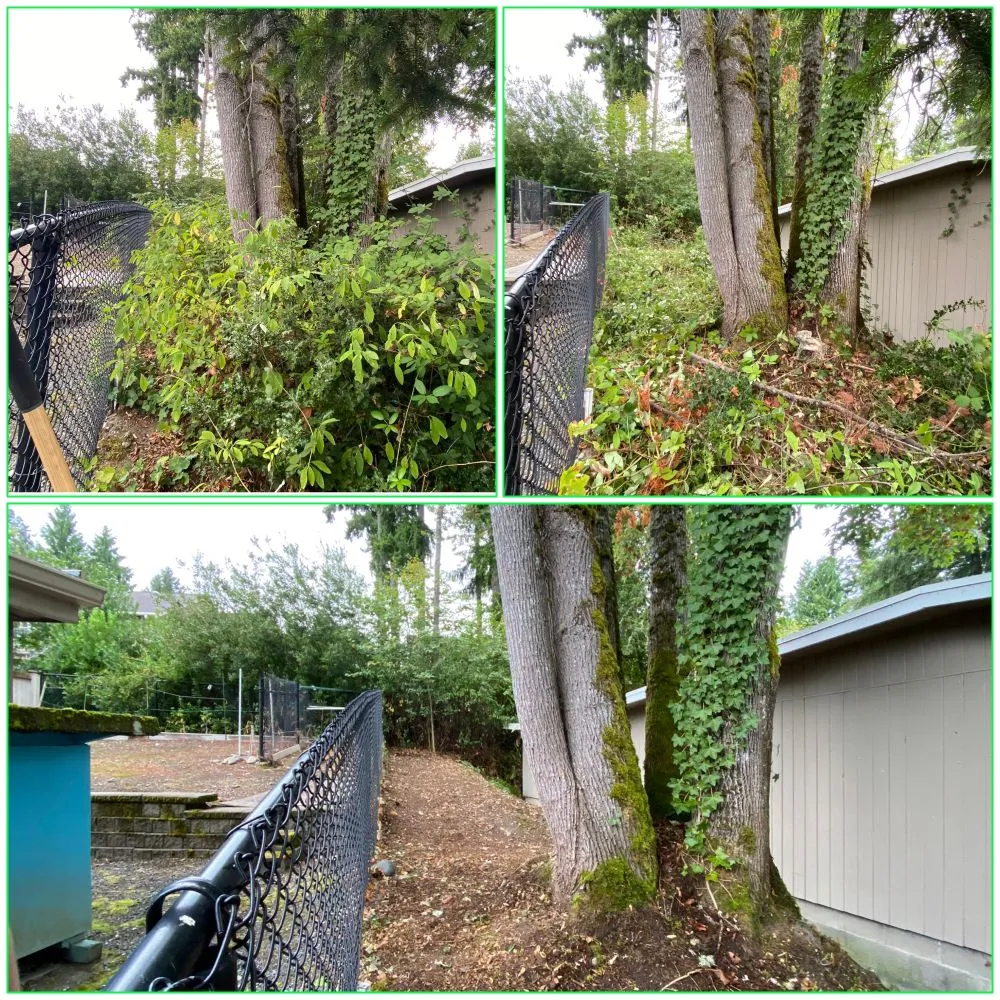 Affordable landscape design in Woodinville, WA - Samphire's Lawn Care