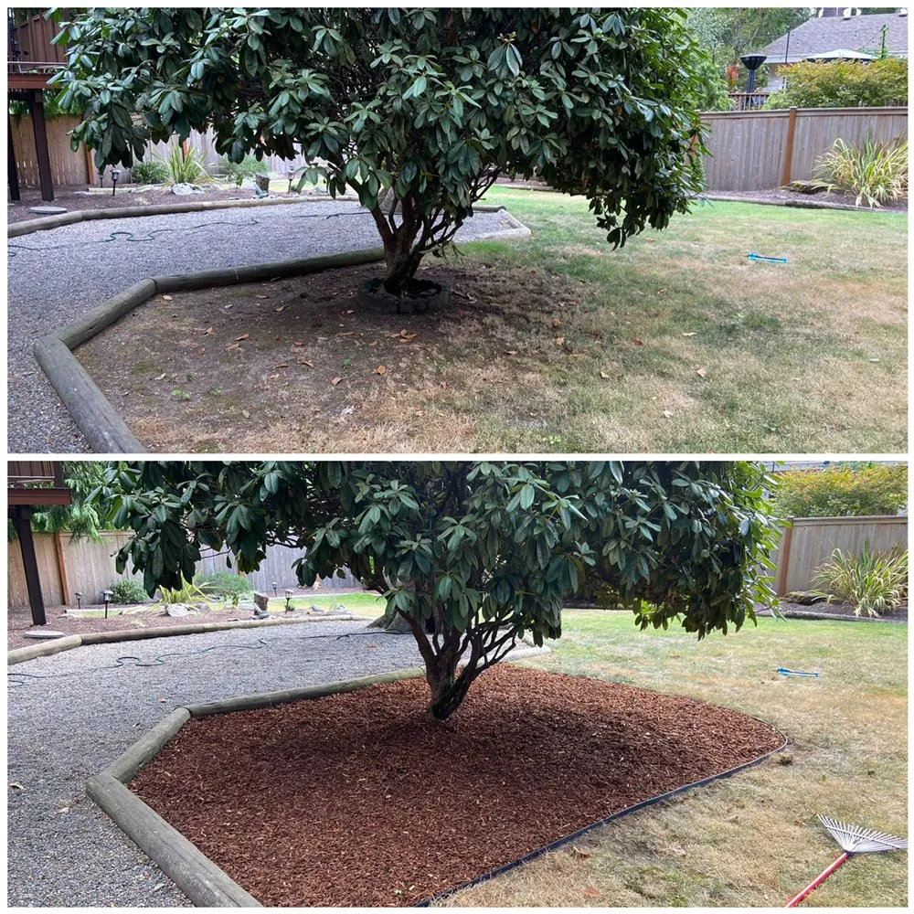 Reliable yard cleanup service in Woodinville, WA - Samphire's Lawn Care