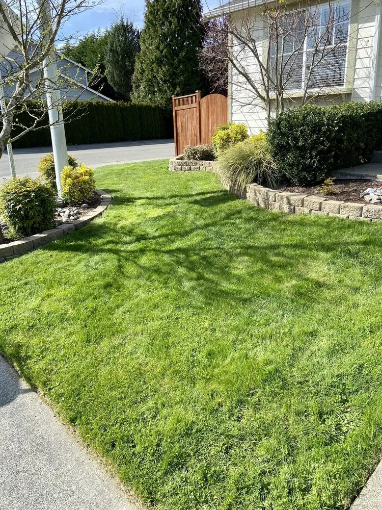 Professional yard cleanup service in Woodinville, WA - Samphire's Lawn Care