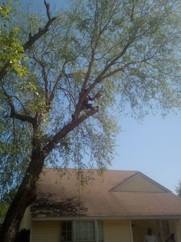 Expert lawn mowing service for homes in West Memphis, AR by Sampley & Son Tree Experts