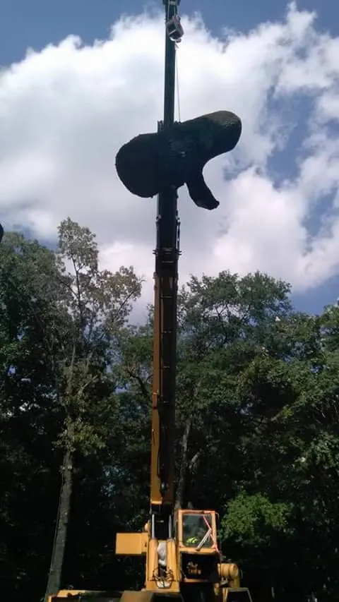 Professional yard cleanup service in West Memphis, AR - Sampley & Son Tree Experts