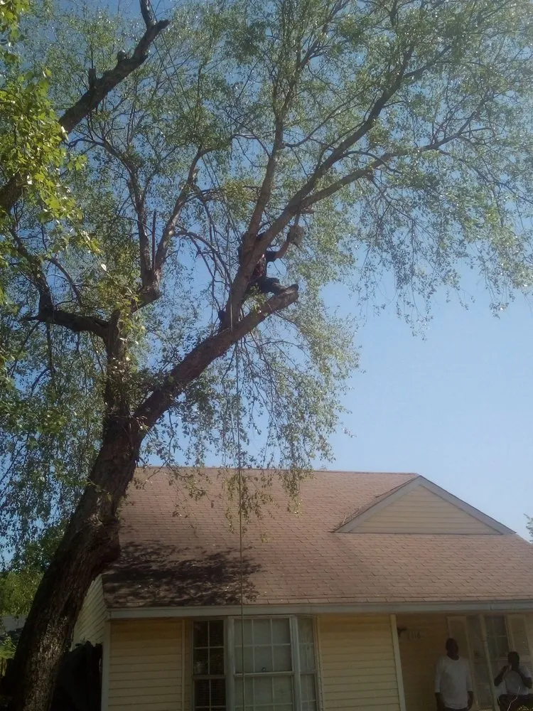 Trusted landscape design for residential properties in West Memphis, AR by Sampley & Son Tree Experts