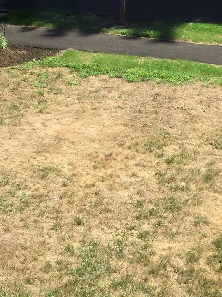 Top-rated residential landscaping in Billerica, MA - Sampson Brothers Landscape