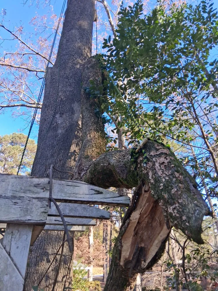 Expert garden landscaping in Tucker, GA - Sampson Landscaping