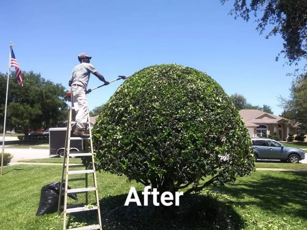 Custom lawn care service for homes in Ormond Beach, FL by Sampsons Landscaping and Tree Service