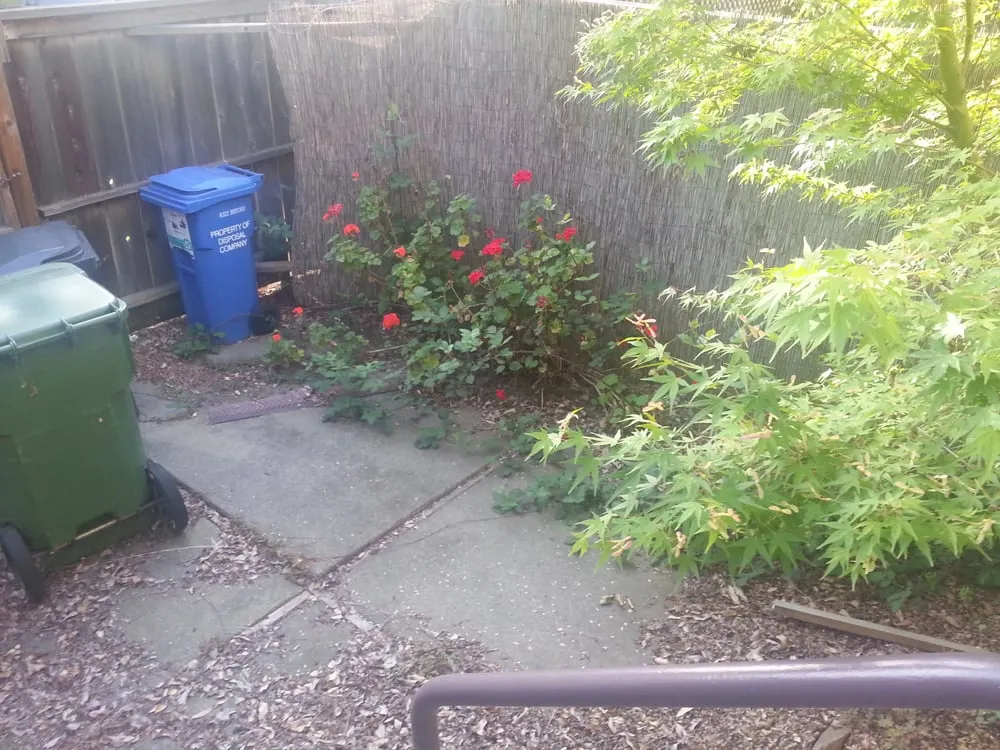 Trusted lawn care service with custom design in Novato, CA by Sampson's Landscaping, Inc.