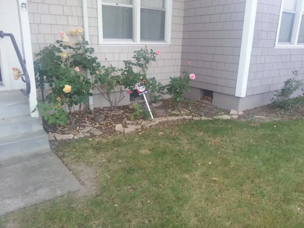 Expert yard maintenance with custom design in Novato, CA by Sampson's Landscaping, Inc.