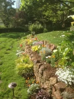 Local lawn care service for homes across Novato, CA - Sampson's Landscaping, Inc.