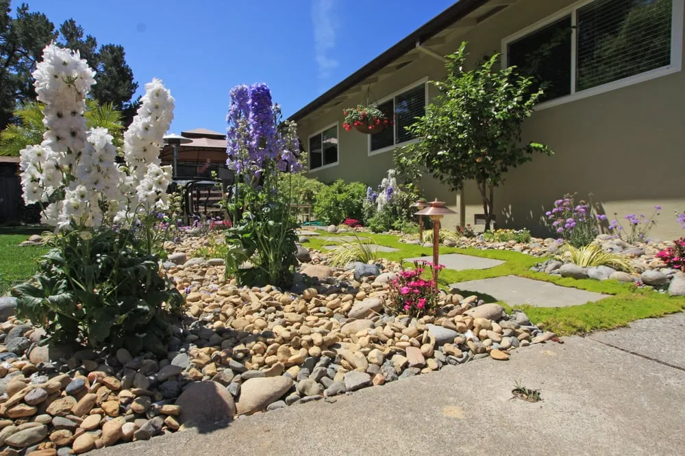 Professional landscape design with custom design across Novato, CA - Sampson's Landscaping, Inc.