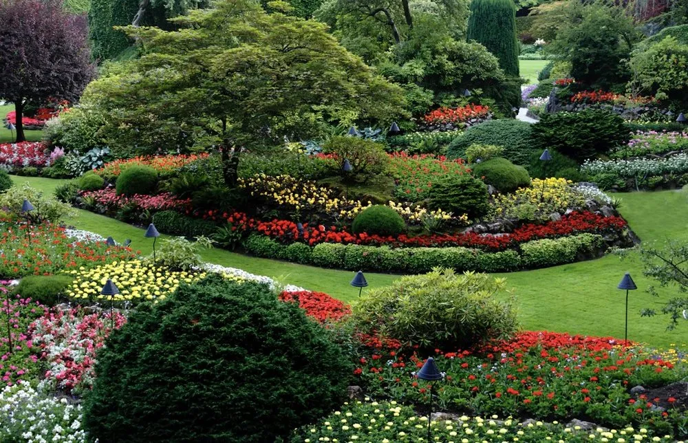 Custom lawn mowing service experts serving Bella Vista, AR - Sampson’s Lawn Care