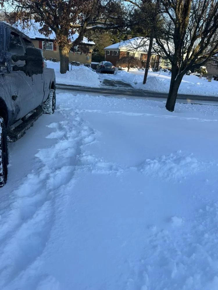 Trusted yard cleanup service in Cincinnati, OH by Sam’s Construction