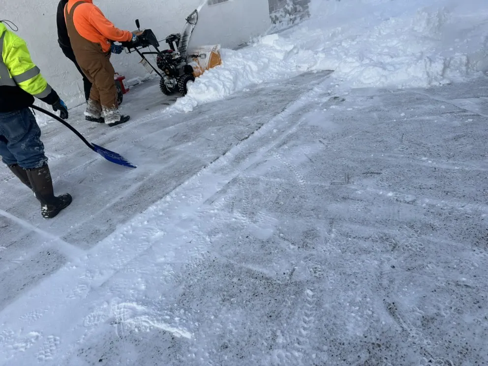 Reliable yard cleanup service with custom design across Cincinnati, OH - Sam’s Construction