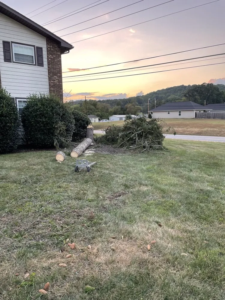 Expert lawn care service in Powell, TN by Sam’s Handyman Lawn And Landscaping Service