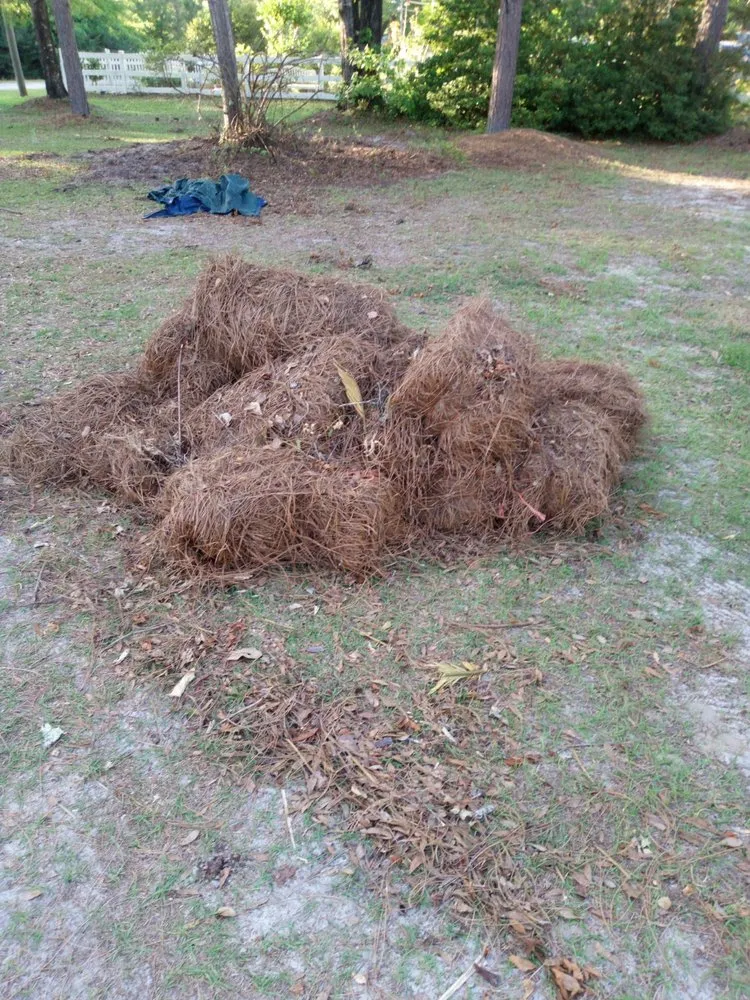 Top-rated outdoor landscaping in Tallahassee, FL by Sam's Landscaping and Flowerbed Repair