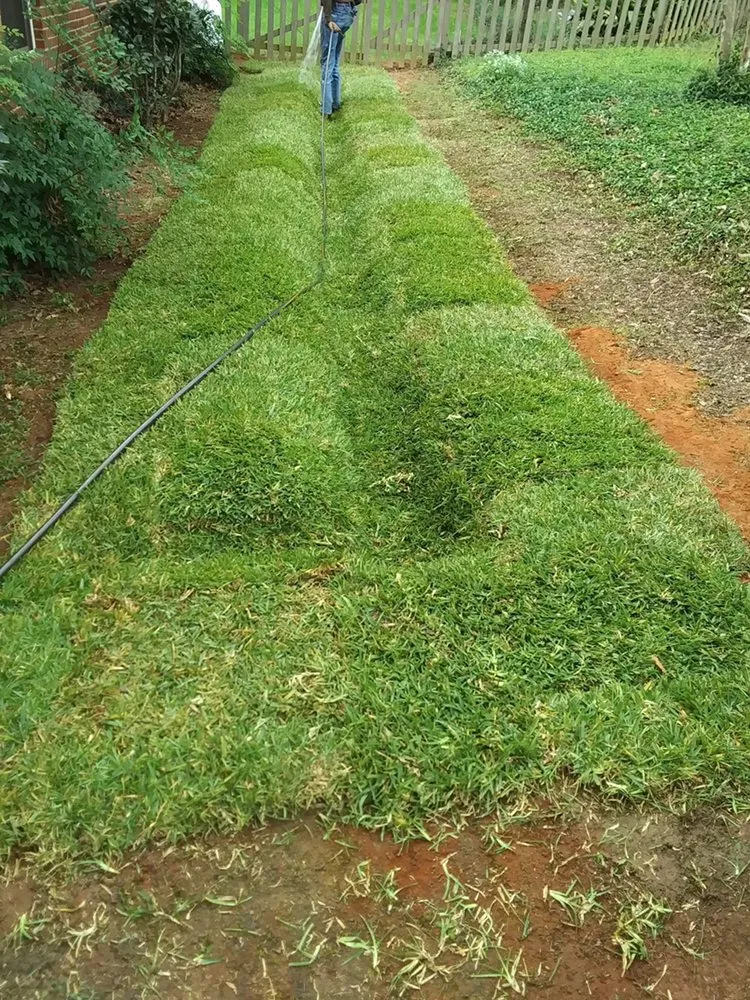 Trusted lawn care service in Tallahassee, FL by Sam's Landscaping and Flowerbed Repair