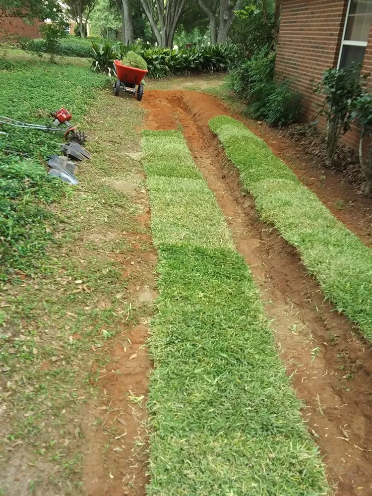 Affordable yard maintenance near you in Tallahassee, FL by Sam's Landscaping and Flowerbed Repair