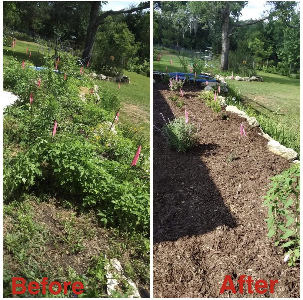 Expert residential landscaping in Tallahassee, FL - Sam's Landscaping and Flowerbed Repair
