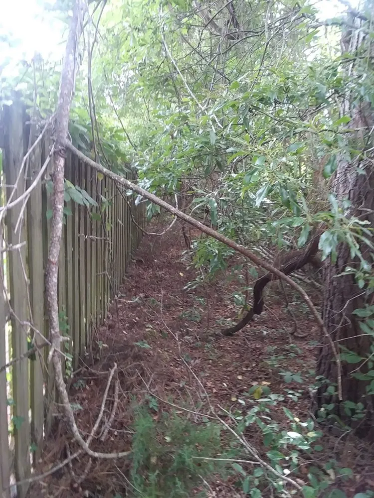 Affordable landscaping services in Tallahassee, FL by Sam's Landscaping and Flowerbed Repair