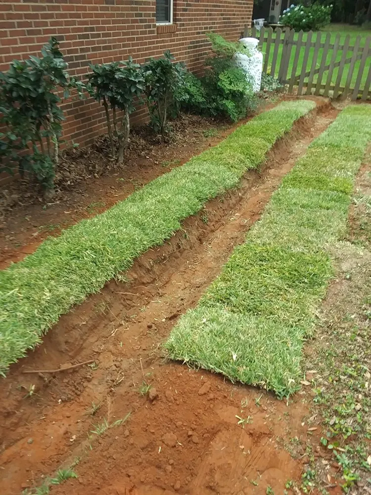 Local landscaping services in Tallahassee, FL - Sam's Landscaping and Flowerbed Repair