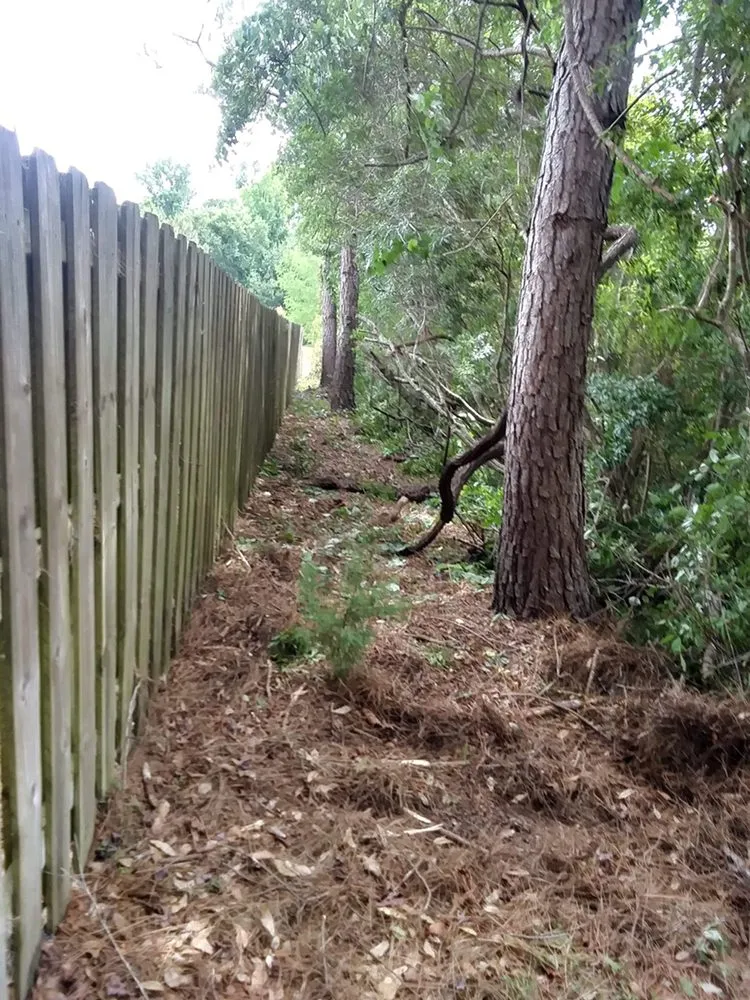 Affordable outdoor landscaping in Tallahassee, FL by Sam's Landscaping and Flowerbed Repair