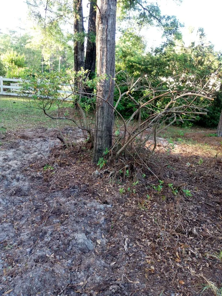 Trusted residential landscaping in Tallahassee, FL - Sam's Landscaping and Flowerbed Repair