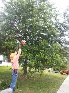 Expert landscape installation for year-round maintenance across Tallahassee, FL - Sam's Landscaping and Flowerbed Repair