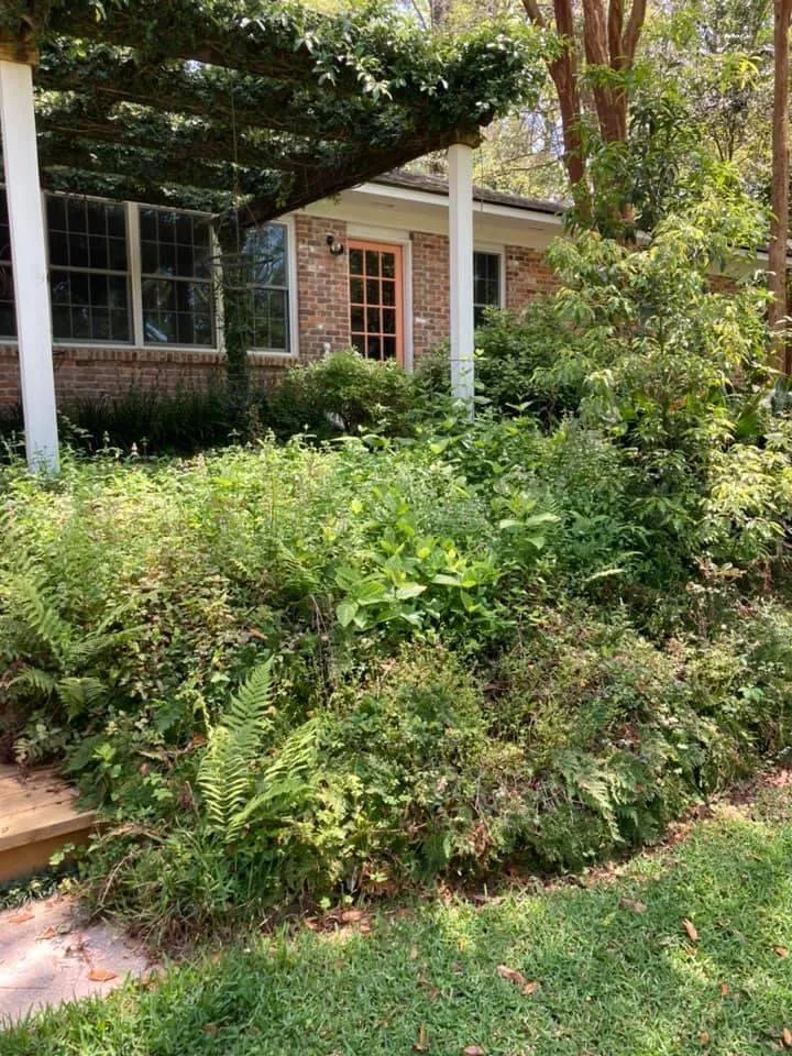 Reliable lawn mowing service in Tallahassee, FL by Sam's Landscaping and Flowerbed Repair