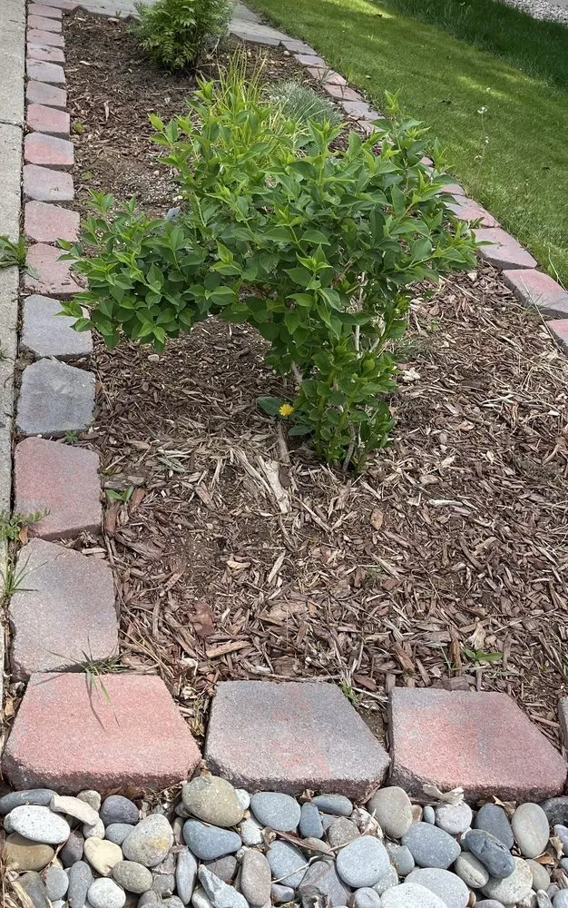 Local yard cleanup service for beautiful yards across Lakewood, CO - Sam's Landscaping