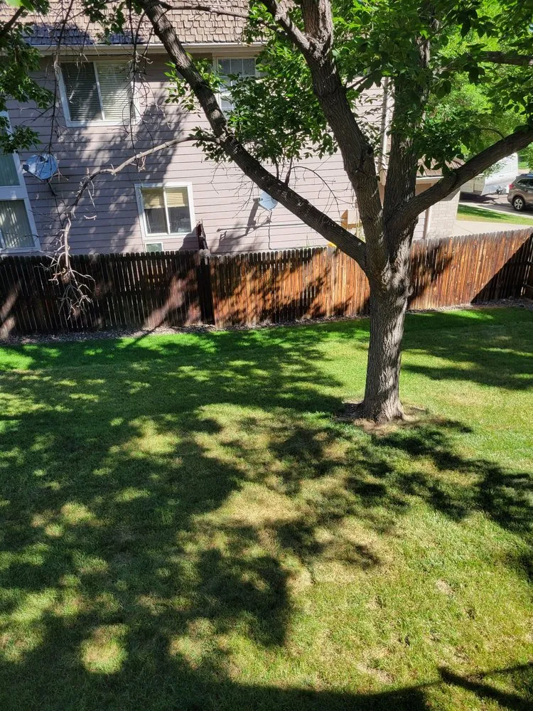 Professional landscaping services for residential properties across Lakewood, CO - Sam's Landscaping