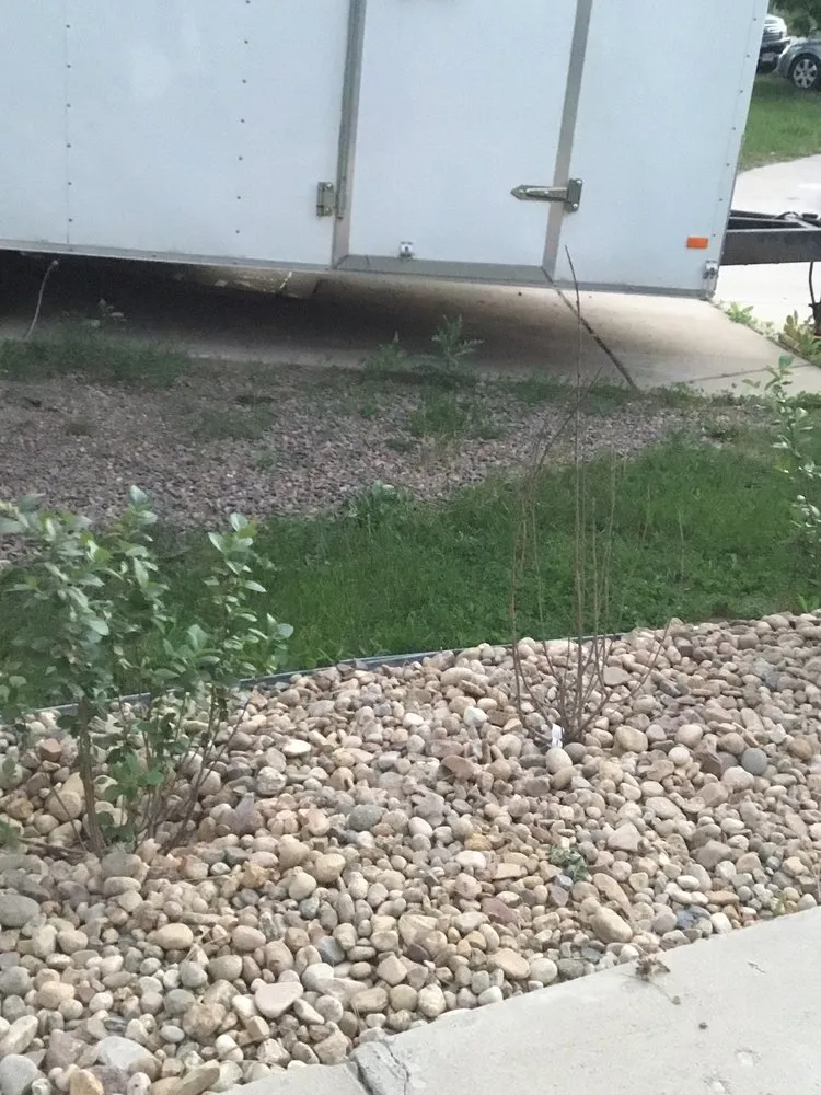 Professional yard cleanup service experts serving Lakewood, CO - Sam's Landscaping