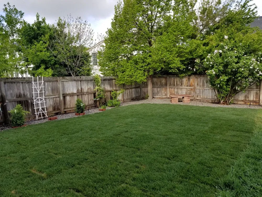 Top-rated landscape installation experts serving Lakewood, CO - Sam's Landscaping