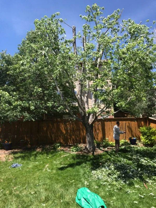 Top-rated landscape design for residential properties across Lakewood, CO - Sam's Landscaping