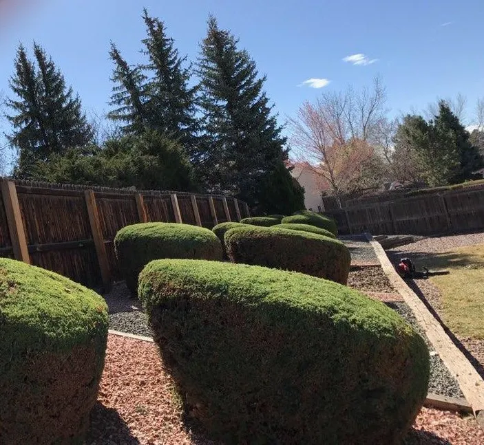 Trusted landscape design in Lakewood, CO - Sam's Landscaping