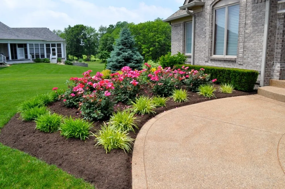 Custom landscape design near you in Linden, NJ by Sam's Landscaping