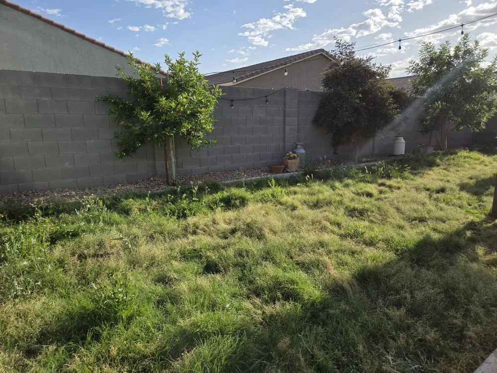 Expert residential landscaping in Mesa, AZ - Sam's Landscaping